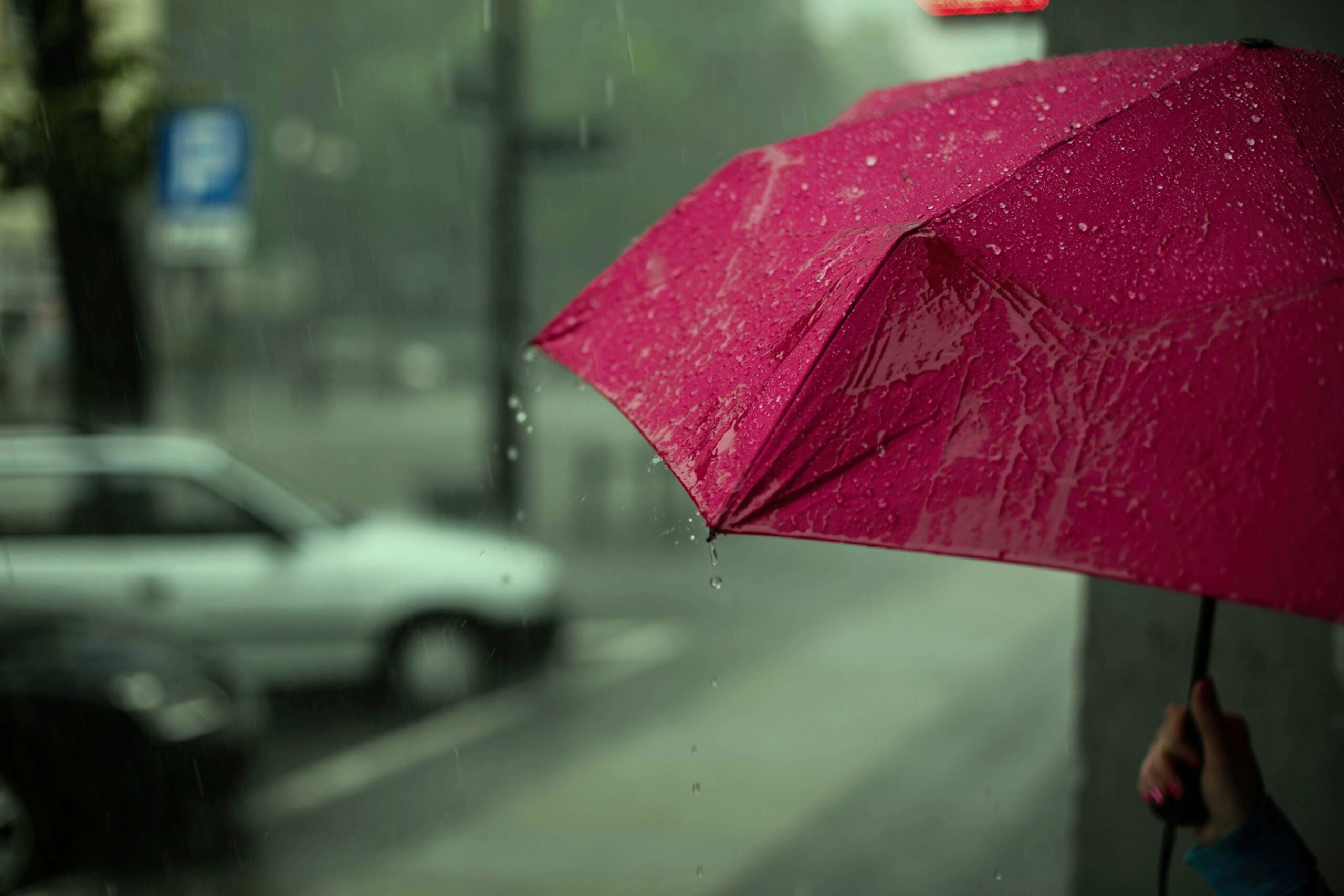 vizes esernyő